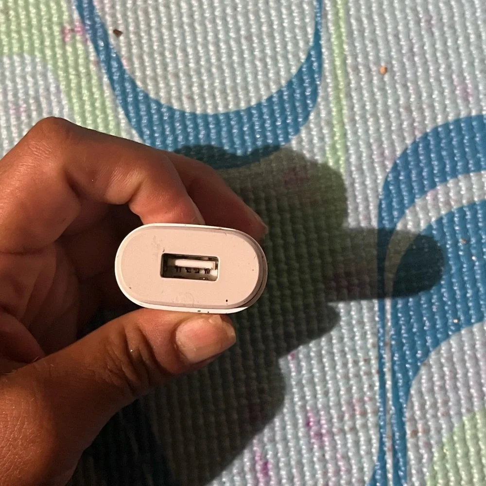 LG White Travel Adapter